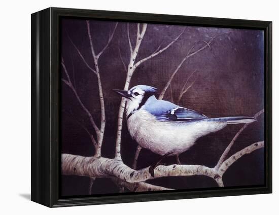 Blue Jay-Kevin Dodds-Framed Premier Image Canvas