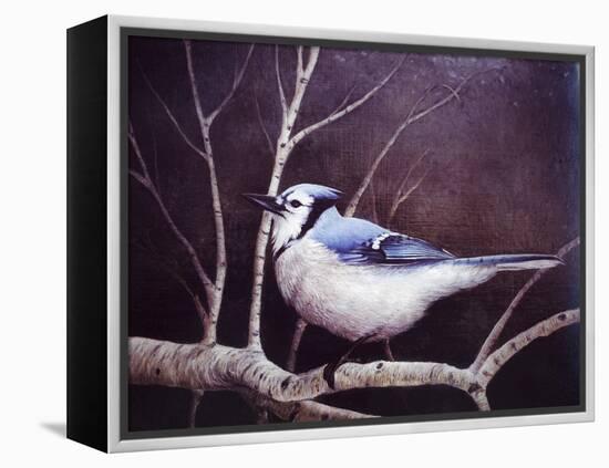 Blue Jay-Kevin Dodds-Framed Premier Image Canvas