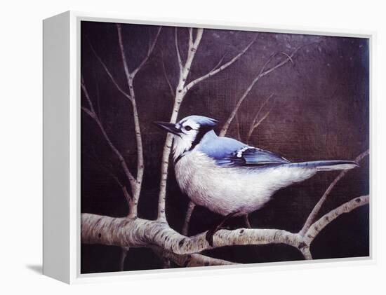 Blue Jay-Kevin Dodds-Framed Premier Image Canvas