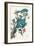 Blue Jay-John James Audubon-Framed Art Print