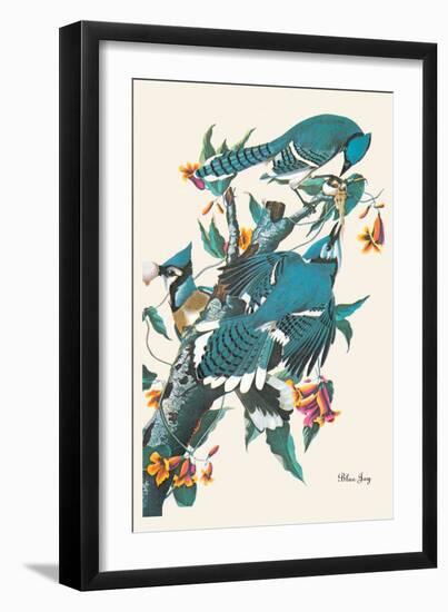 Blue Jay-John James Audubon-Framed Art Print