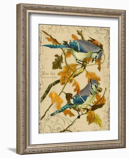 Blue Jay-Kate Ward Thacker-Framed Giclee Print