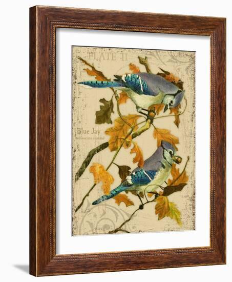 Blue Jay-Kate Ward Thacker-Framed Giclee Print