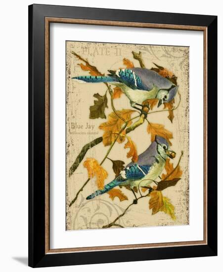 Blue Jay-Kate Ward Thacker-Framed Giclee Print