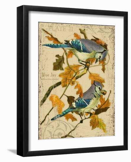 Blue Jay-Kate Ward Thacker-Framed Giclee Print