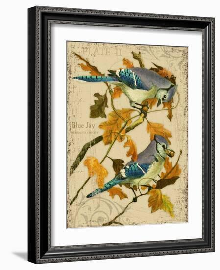 Blue Jay-Kate Ward Thacker-Framed Giclee Print