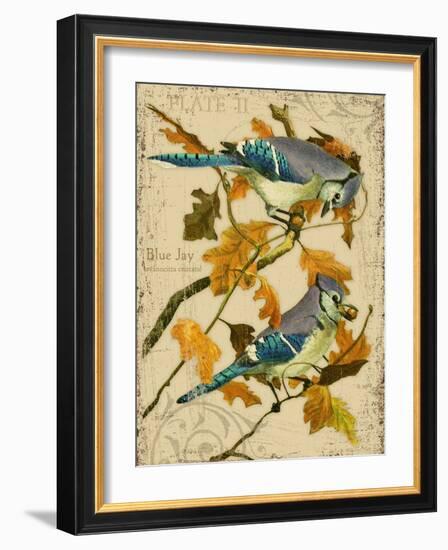 Blue Jay-Kate Ward Thacker-Framed Giclee Print