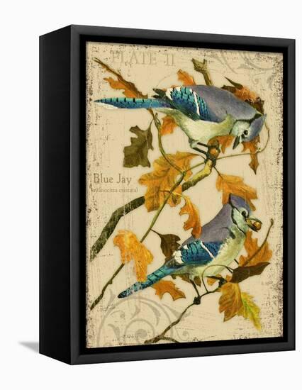 Blue Jay-Kate Ward Thacker-Framed Premier Image Canvas