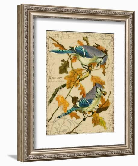 Blue Jay-Kate Ward Thacker-Framed Giclee Print