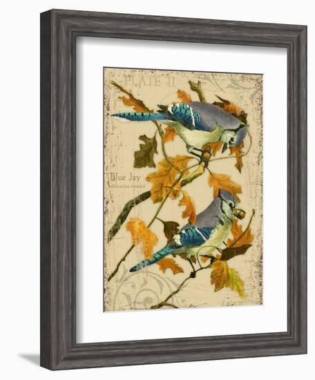 Blue Jay-Kate Ward Thacker-Framed Giclee Print