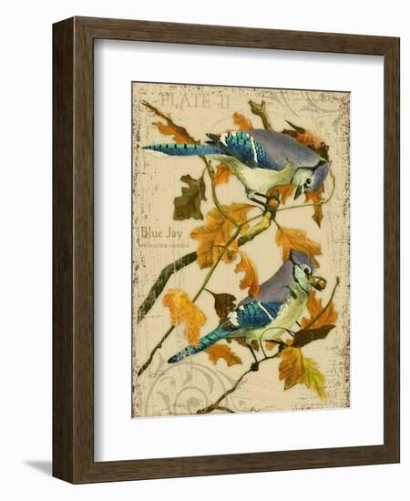 Blue Jay-Kate Ward Thacker-Framed Giclee Print