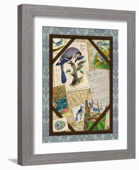 Blue Jay-Kate Ward Thacker-Framed Giclee Print