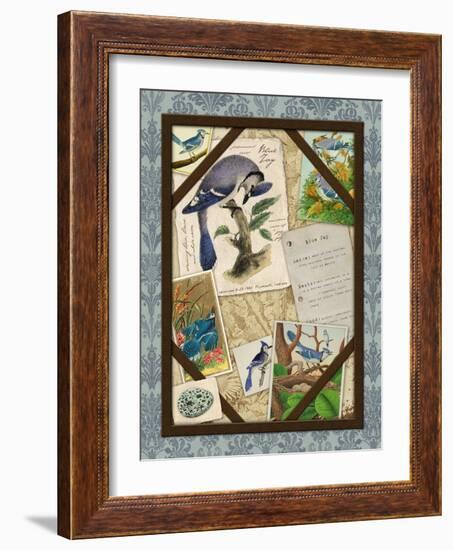 Blue Jay-Kate Ward Thacker-Framed Giclee Print