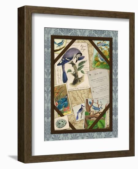 Blue Jay-Kate Ward Thacker-Framed Giclee Print