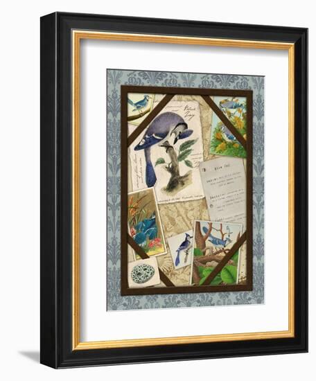 Blue Jay-Kate Ward Thacker-Framed Giclee Print