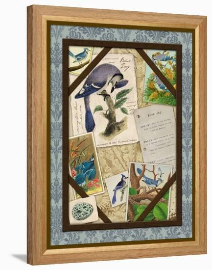 Blue Jay-Kate Ward Thacker-Framed Premier Image Canvas