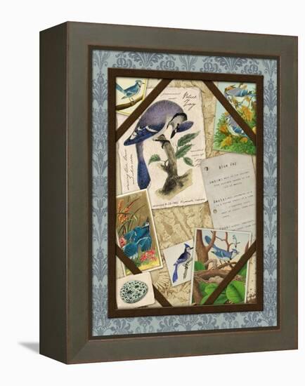 Blue Jay-Kate Ward Thacker-Framed Premier Image Canvas