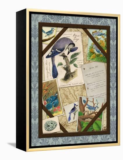 Blue Jay-Kate Ward Thacker-Framed Premier Image Canvas