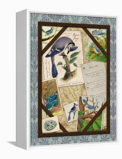 Blue Jay-Kate Ward Thacker-Framed Premier Image Canvas