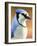 Blue Jay-James W. Johnson-Framed Giclee Print