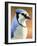 Blue Jay-James W. Johnson-Framed Giclee Print