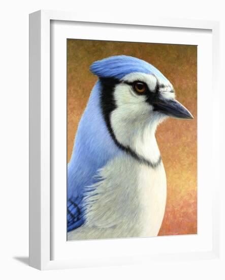 Blue Jay-James W. Johnson-Framed Giclee Print