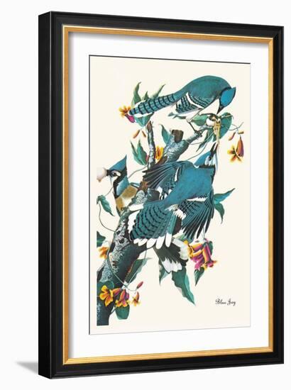 Blue Jay-John James Audubon-Framed Art Print