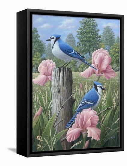 Blue Jays-Robert Wavra-Framed Premier Image Canvas
