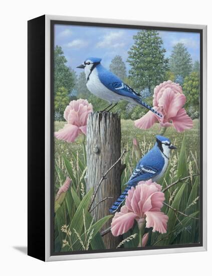 Blue Jays-Robert Wavra-Framed Premier Image Canvas