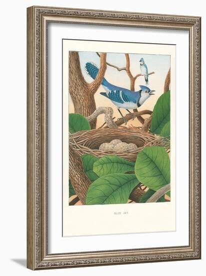 Blue Jays-null-Framed Art Print