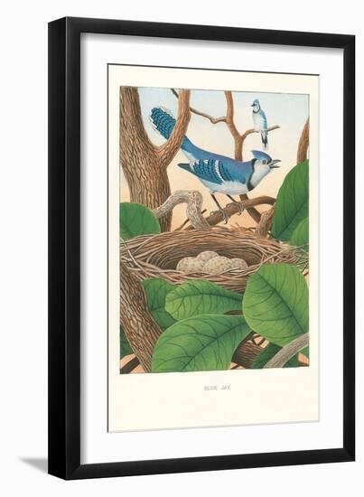 Blue Jays-null-Framed Art Print