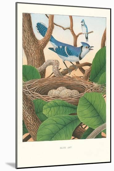 Blue Jays-null-Mounted Art Print