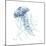 Blue Jelly Fish-Patti Bishop-Mounted Art Print