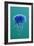 Blue Jellyfish (Cyanea Lamarckii), Feeding on Small Plankton, Lundy Island, Devon, UK-Linda Pitkin-Framed Photographic Print