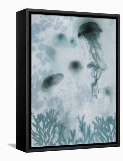 Blue Jellyfish II-Ken Roko-Framed Stretched Canvas