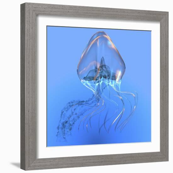 Blue Jellyfish Illustration-Stocktrek Images-Framed Art Print