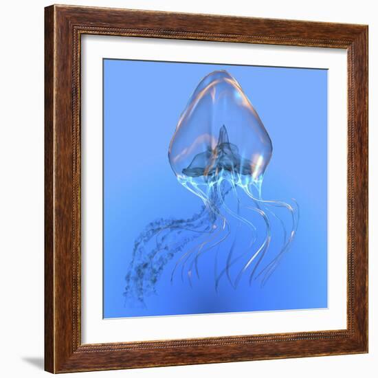 Blue Jellyfish Illustration-Stocktrek Images-Framed Art Print