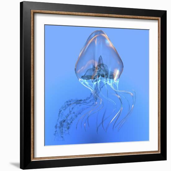 Blue Jellyfish Illustration-Stocktrek Images-Framed Art Print