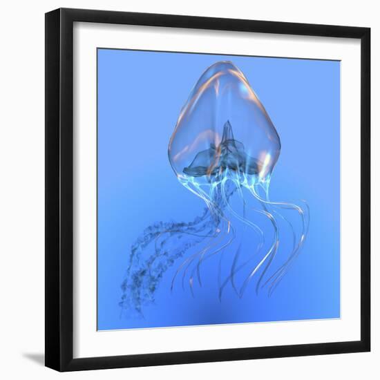 Blue Jellyfish Illustration-Stocktrek Images-Framed Art Print