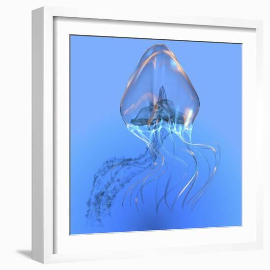 Blue Jellyfish Illustration-Stocktrek Images-Framed Art Print