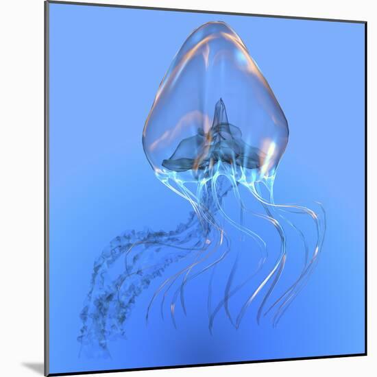Blue Jellyfish Illustration-Stocktrek Images-Mounted Art Print
