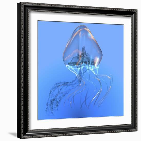 Blue Jellyfish Illustration-Stocktrek Images-Framed Art Print