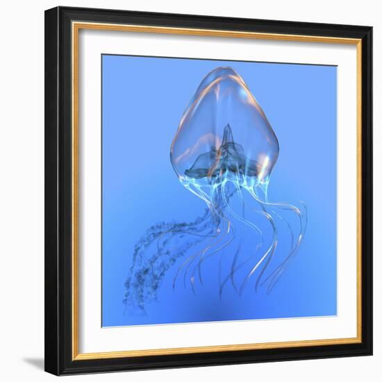 Blue Jellyfish Illustration-Stocktrek Images-Framed Art Print