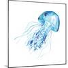 Blue Jellyfish-Sara Berrenson-Mounted Art Print