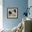 Blue Joyful Poppies I-Elizabeth Medley-Framed Art Print displayed on a wall