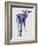 Blue Kid, Cazalla de la Sierra, 1999-Mark Adlington-Framed Giclee Print