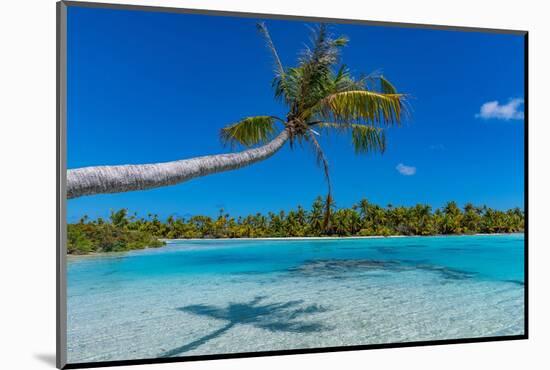 Blue lagoon, Fakarava, Tuamotu archipelago, French Polynesia-Michael Runkel-Mounted Photographic Print