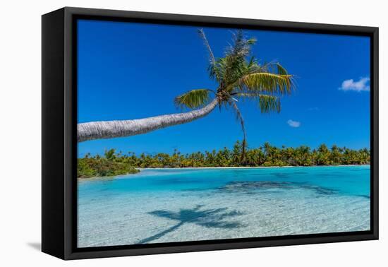 Blue lagoon, Fakarava, Tuamotu archipelago, French Polynesia-Michael Runkel-Framed Premier Image Canvas