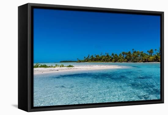 Blue lagoon, Fakarava, Tuamotu archipelago, French Polynesia-Michael Runkel-Framed Premier Image Canvas