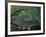 Blue Lagoon, Jamaica, Caribbean-Robin Hill-Framed Photographic Print